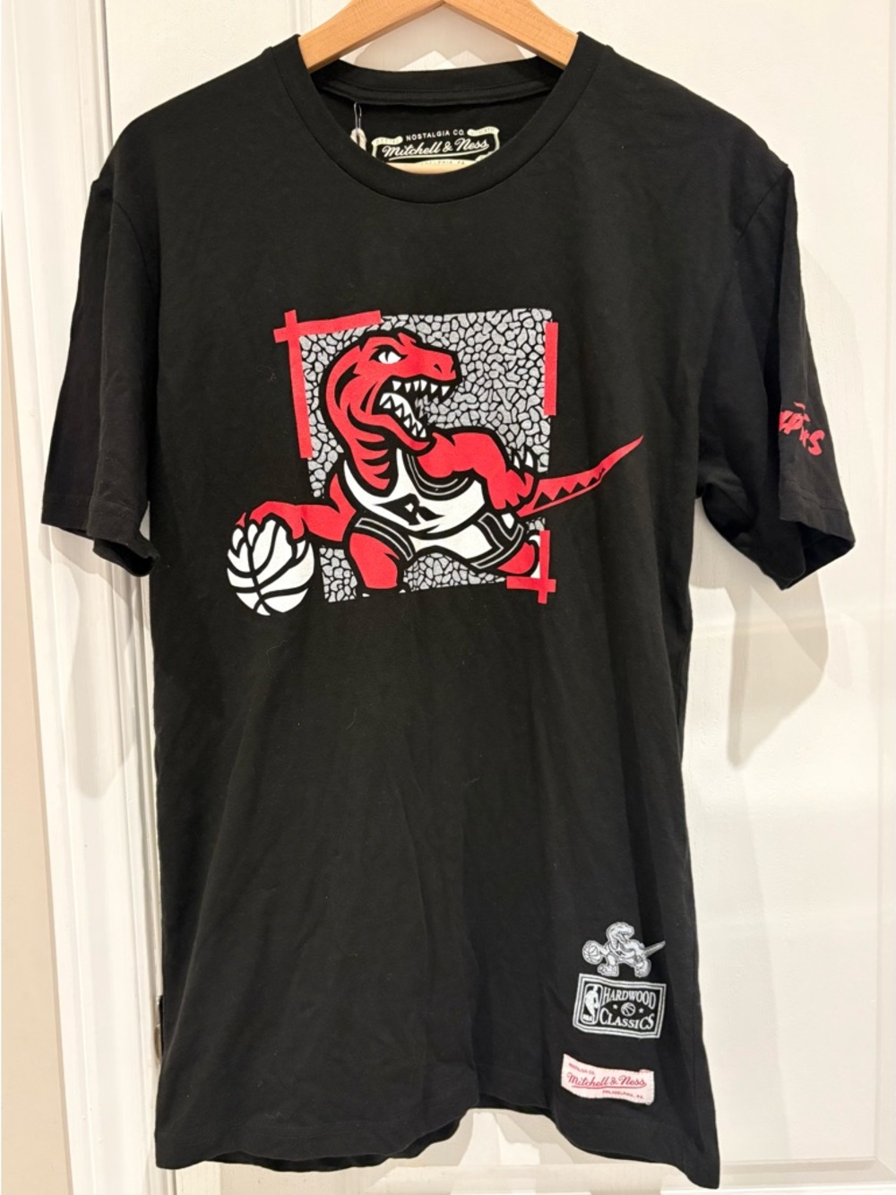 Mitchell & Ness Toronto Raptors Elephant In the Room Hardwood Classics Tee